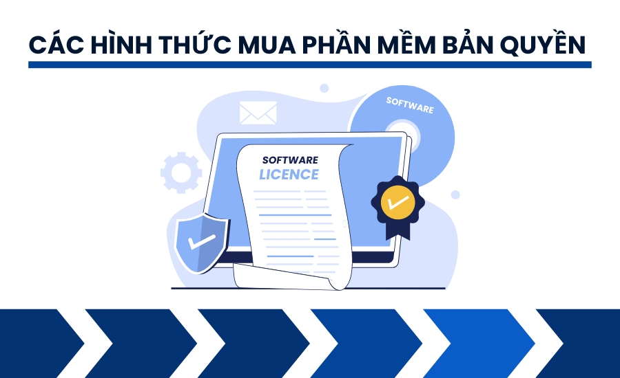 Các hình thức mua phần mềm bản quyền là gì?